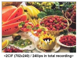 2CIF�摜