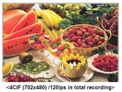 4CIF�摜