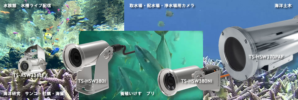 SUS製水中・海中カメラ TS-HSW380i